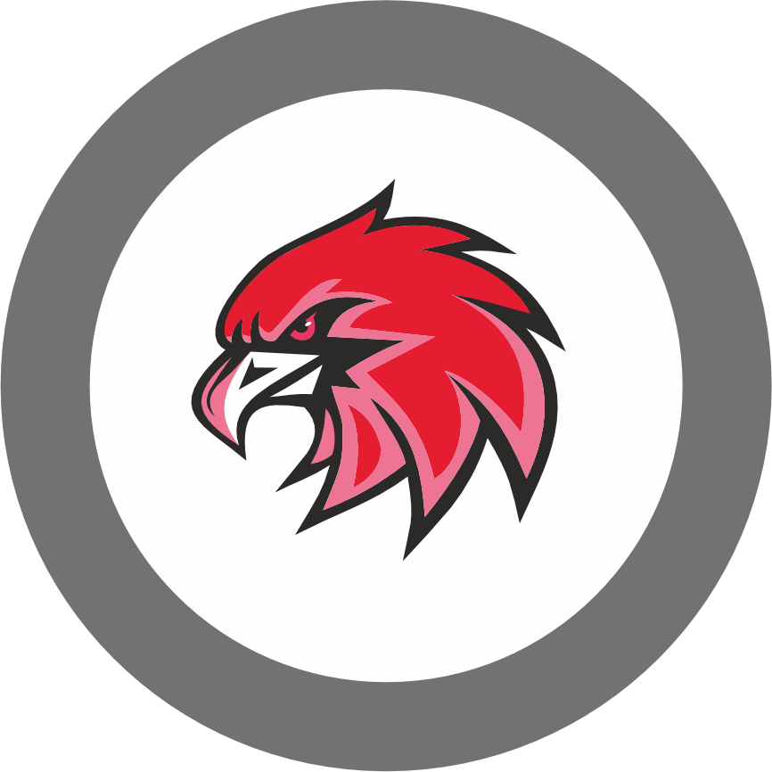 هویر (ASM)