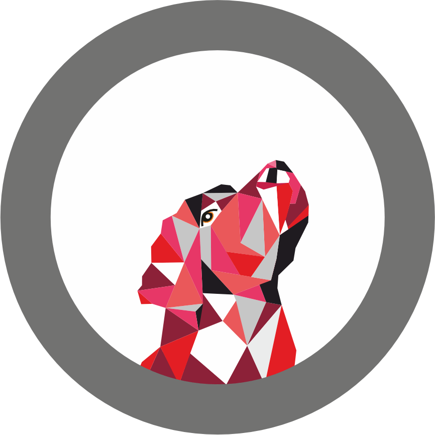 نخجیرپان (XDR)